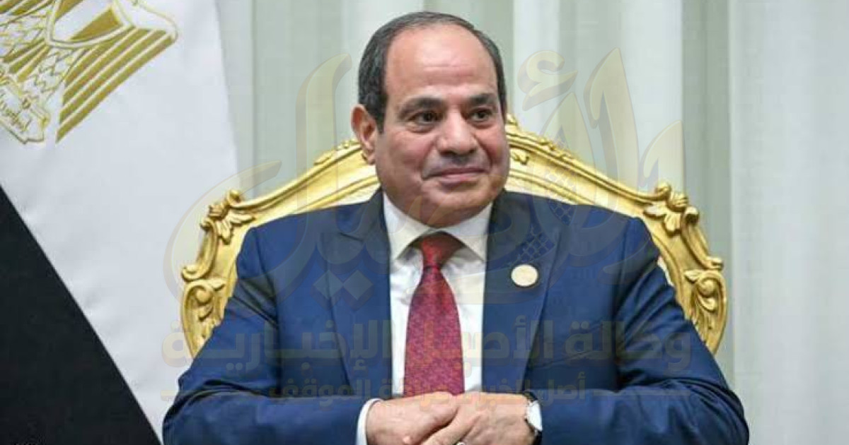الرئيس المصري: سندافع عن أراضي السعودية وأي دولة عربية تطلب ذلك